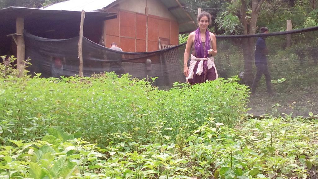 The Local Story Resort Ban Mon Talaeng Buitenkant foto